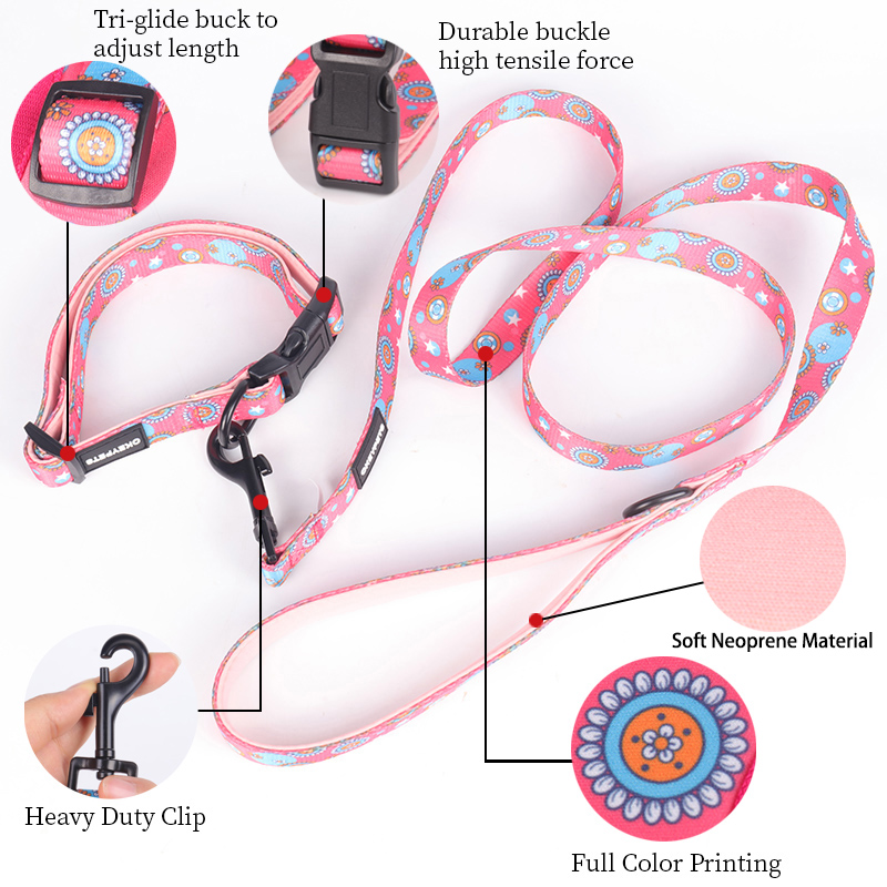 OKEYPETS Laisse pour chien en polyester respirant, durable, multicolore et à prix compétitif, personnalisable 8