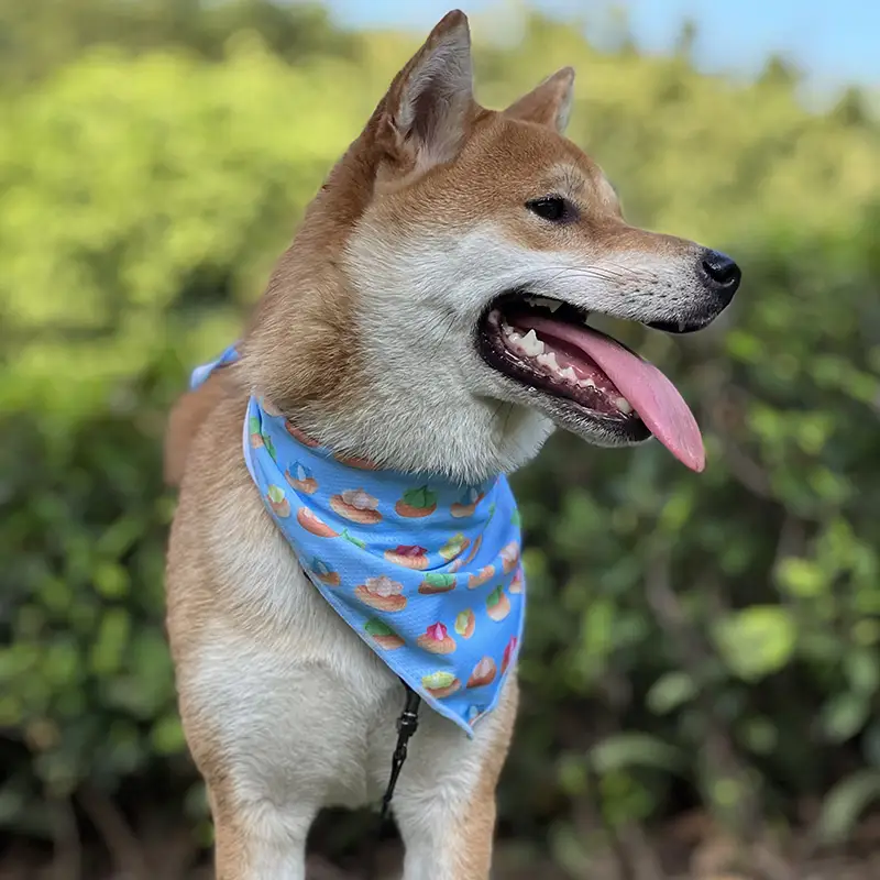 OKEYPETS - OKEYPETS Bandana Pukal Boleh Balik Selendang Anjing Cetakan Haiwan Peliharaan Peribadi Selendang Anjing Lembut Mewah yang Menyejukkan Bandana Haiwan Peliharaan 1