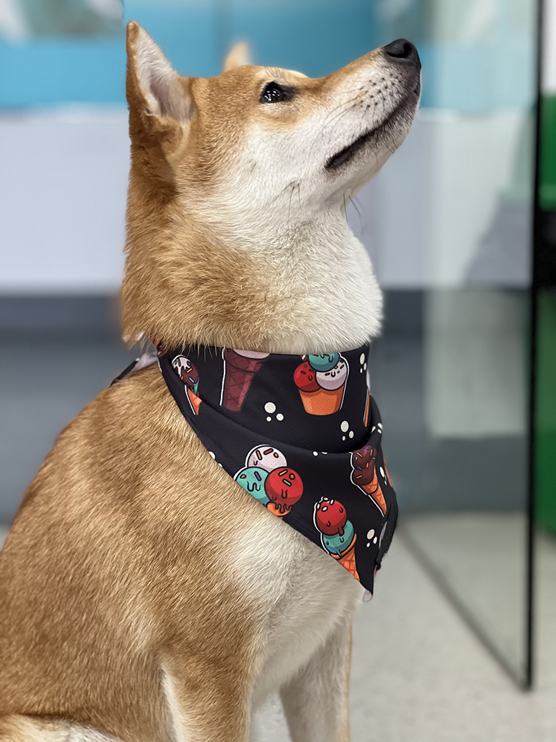 OKEYPETS - OKEYPETS Modern hundhalsduk Designer Anpassad Tryck Jul Husdjur Triangel Bandana Halsdukar För Hundar Husdjursbandana 8