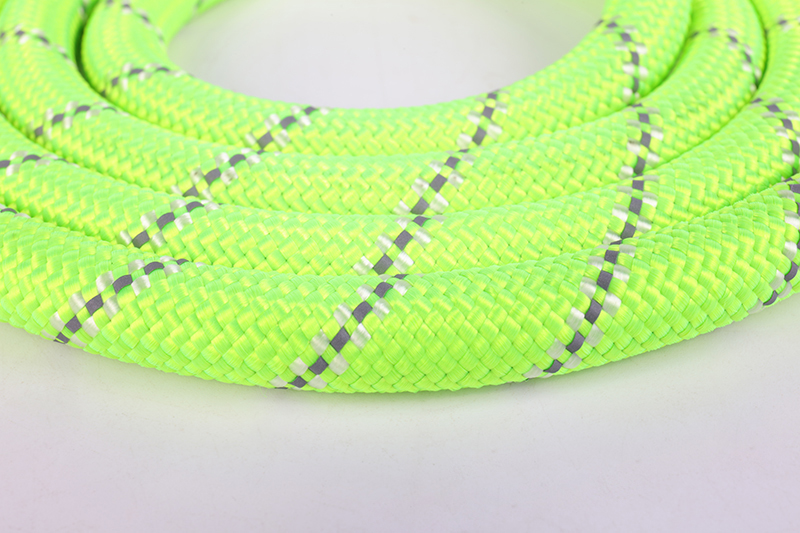 OKEYPETS - Laisse de course personnalisée OKEYPETS pour animaux de compagnie, mousqueton robuste, corde réfléchissante en nylon tressé. 10