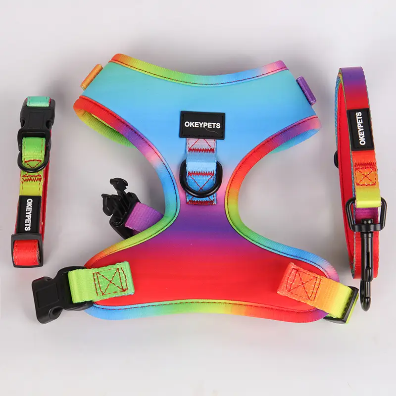 OKEYPETS - OKEYPETS Lyxigt vadderat valphalsband med handtag Vändbart andningsbart nätväst Moderiktig hundsele med koppel Husdjurshalsband koppel/hundsele set 1