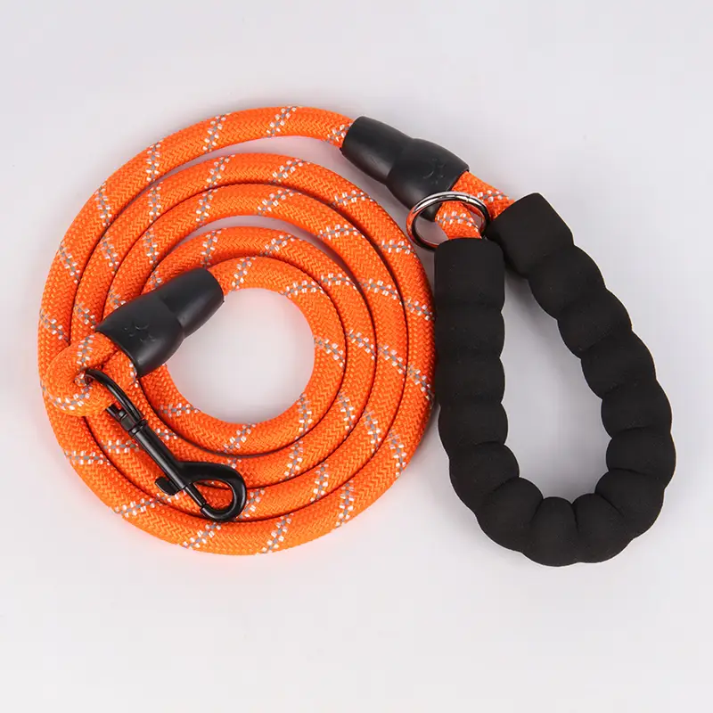 OKEYPETS - Laisse OKEYPETS pour chien, idéale pour l'entraînement, l'escalade et la course. Corde en nylon avec fils réfléchissants, parfaite pour les randonnées et les activités de plein air. 1