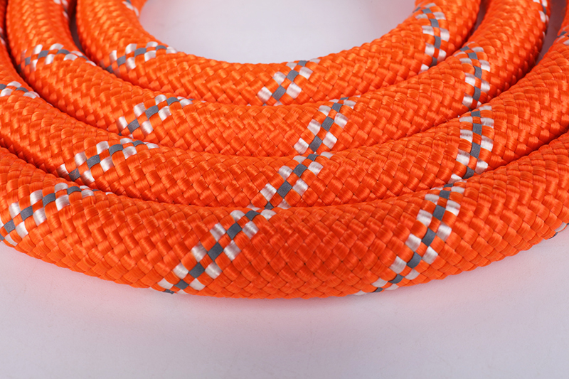 OKEYPETS - Laisse OKEYPETS pour chien, idéale pour l'entraînement, l'escalade et la course. Corde en nylon avec fils réfléchissants, parfaite pour les randonnées et les activités de plein air. 10