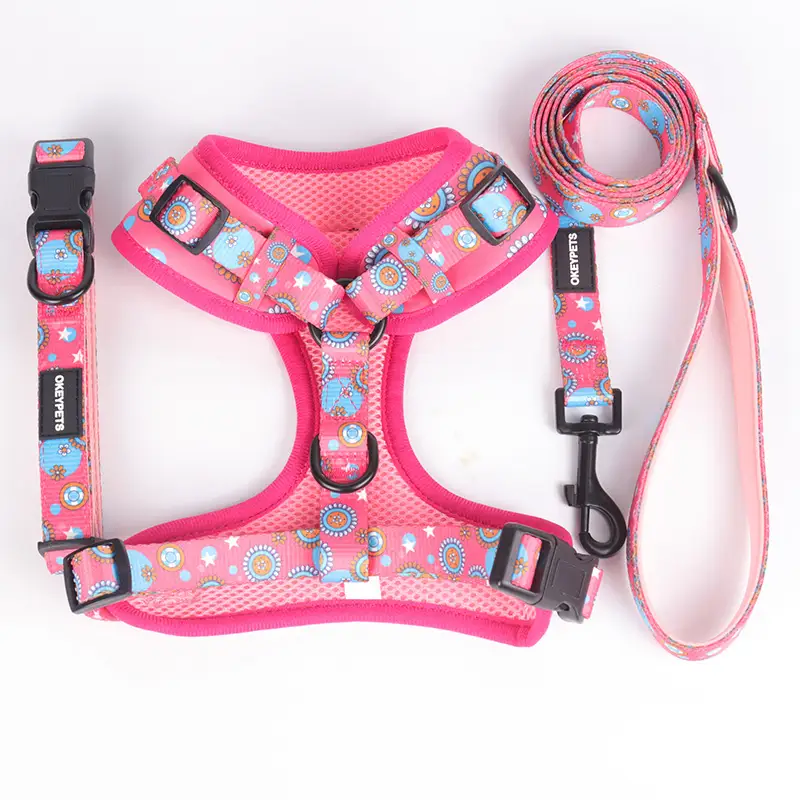 OKEYPETS - Professzionális gyártás, egyedi tervező, divatos, új, puha hálós neoprén gyorskioldású nyakörv, láncos póráz, kutyahám, puha hálós kisállat nyakörv póráz/kutyahám készlet 1