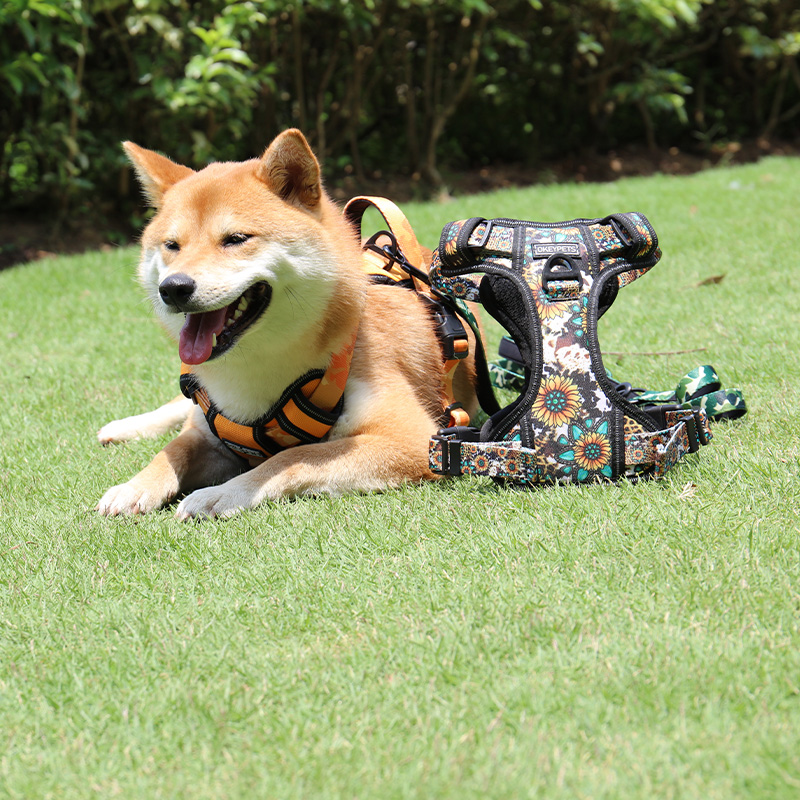 OKEYPETS - Harnais pour chien CustomSoft Mesh anti-traction, harnais en tissu Oxford, harnais réfléchissant pour chien 16