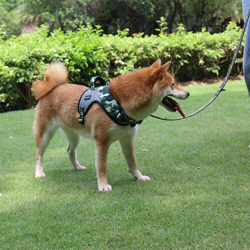 OKEYPETS - Harnais pour chien CustomSoft Mesh anti-traction, harnais en tissu Oxford, harnais réfléchissant pour chien 15