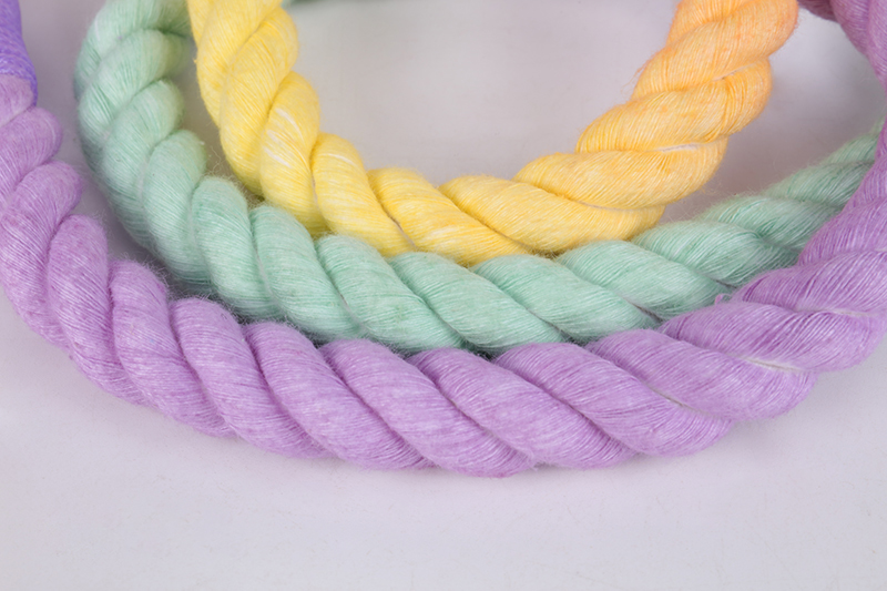 Laisse pour chien OKEYPETS faite main, en corde 100% coton. 10