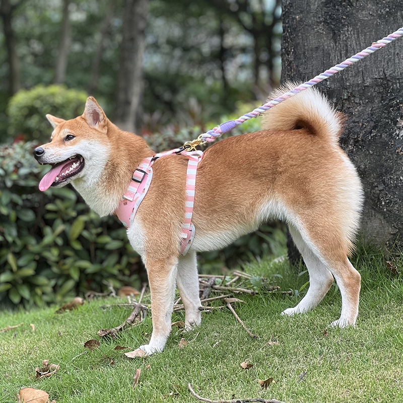 Szelki dla psa OKEYPETS, dwustronne, oddychające, z siateczki, z wyściełaną kamizelką, z neoprenu 8