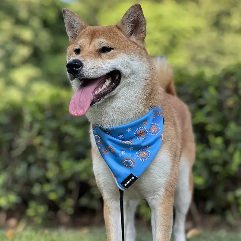 OKEYPETS - Écharpe de Noël personnalisée par sublimation avec motif OKEYPETS, bandana pour animaux de compagnie, bandana personnalisé pour animaux de compagnie 1