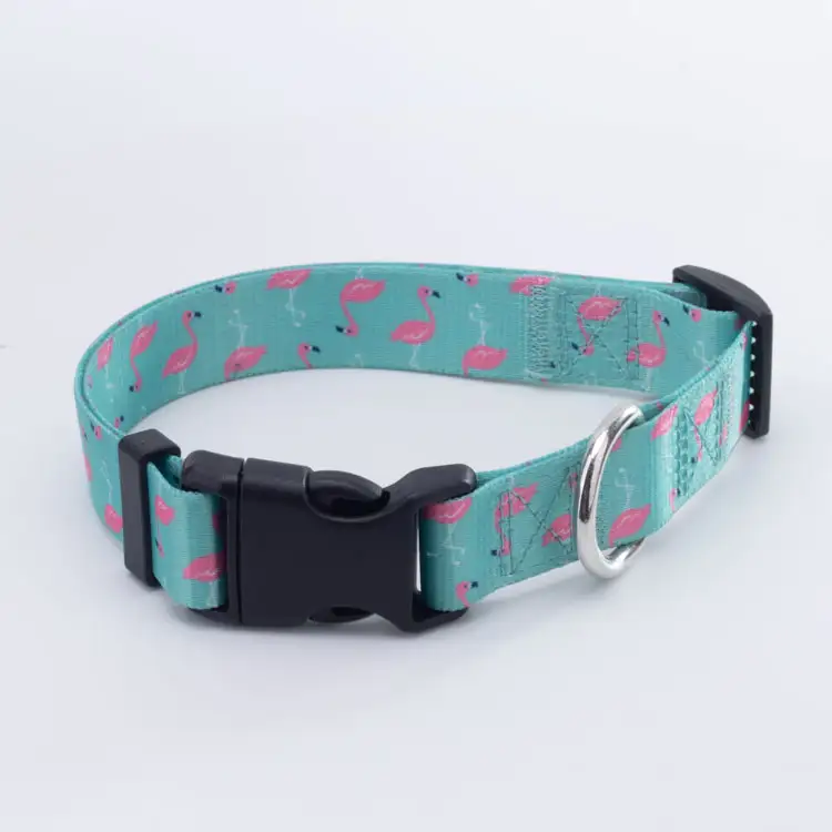 OKEYPETS - OKEYPETS OEM Zgardă pentru câini, moale, durabilă, cu culori la modă, personalizată, lavabilă, cu cataramă, curea pentru animale de companie 1