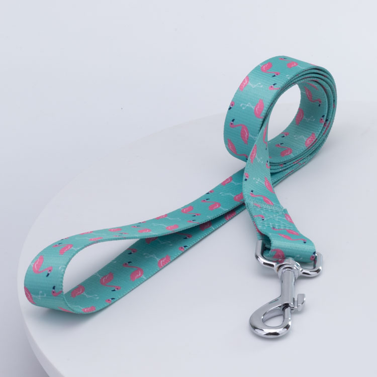 OKEYPETS - OKEYPETS OEM Zgardă pentru câini, moale, durabilă, cu culori la modă, personalizată, lavabilă, cu cataramă, curea pentru animale de companie 11