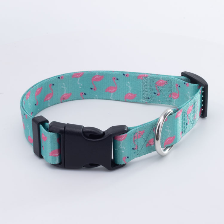 OKEYPETS - OKEYPETS OEM Zgardă pentru câini, moale, durabilă, cu culori la modă, personalizată, lavabilă, cu cataramă, curea pentru animale de companie 9