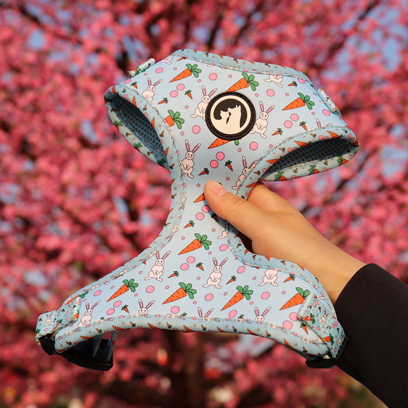 OKEYPETS Venkovní módní postroj pro psy bez tahu, nastavitelná kontrolní vesta, roztomilý postroj pro psy 8