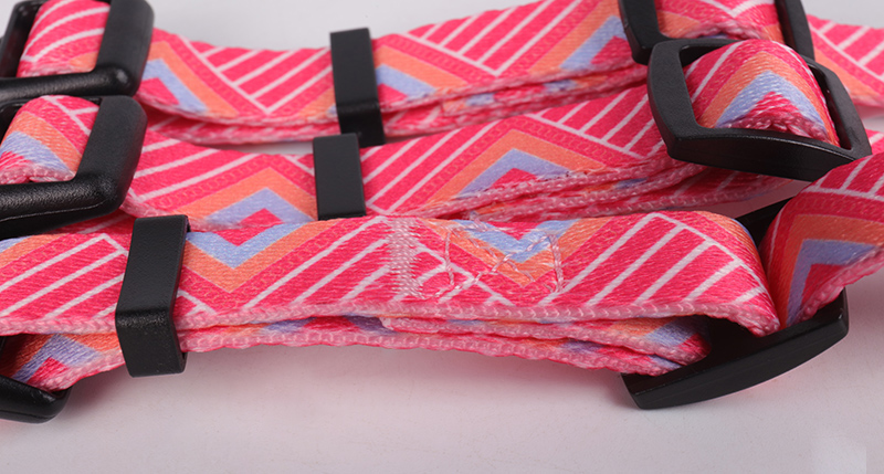 OKEYPETS - Collier pour chien OKEYPETS avec logo personnalisé, boucle à dégagement rapide et anneaux en D robustes, souple et durable. Personnalisation possible. Tous les produits. 10