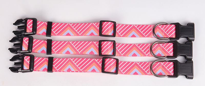 OKEYPETS - Collier pour chien OKEYPETS avec logo personnalisé, boucle à dégagement rapide et anneaux en D robustes, souple et durable. Personnalisation possible. Tous les produits. 9