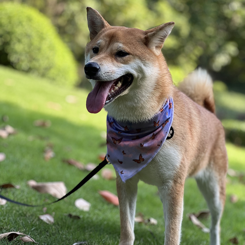 OKEYPETS - OKEYPETS Sublimation Safety Neck Scarf Soft Breathable Triangular Fashion Design Pet Dog Scarf Bandana All products 8