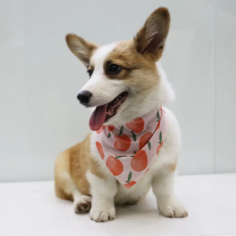 OKEYPETS - Bandana en coton personnalisé OKEYPETS OEM pour animaux de compagnie - Motif triangulaire automnal, luxueux et unique - Impression - Bandanas personnalisés pour chiens - Bandanas pour animaux de compagnie en gros 1