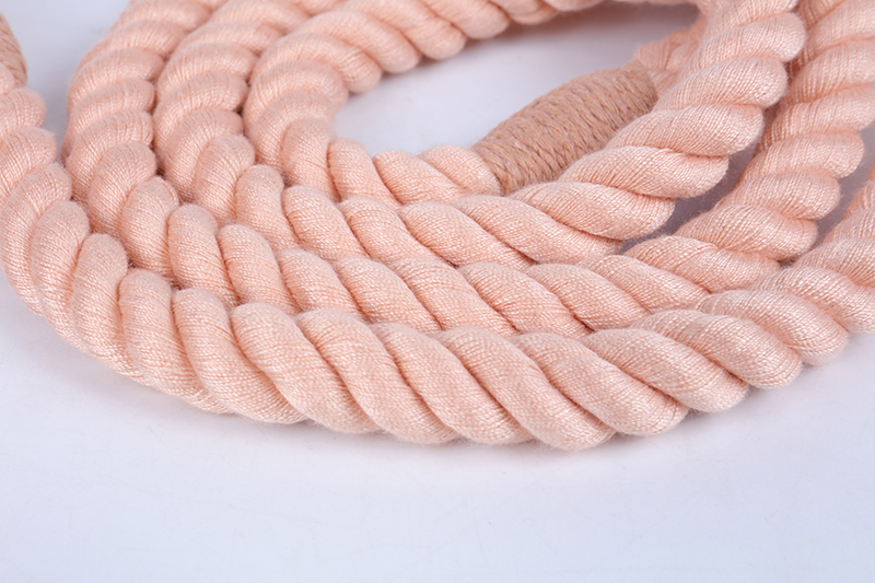 OKEYPETS - OKEYPETS Egyedi logós mászópóráz, nagy teherbírású, húzásmentes kiképző kisállat-csúszós póráz, kutyapóráz kötél, pamut kutyapóráz kötél 10