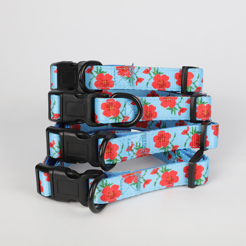 OKEYPETS Veľkoobchodný vzorový dizajn na mieru Mäkký bezpečnostný neoprénový polstrovaný nastaviteľný obojok pre psov s retiazkou 13