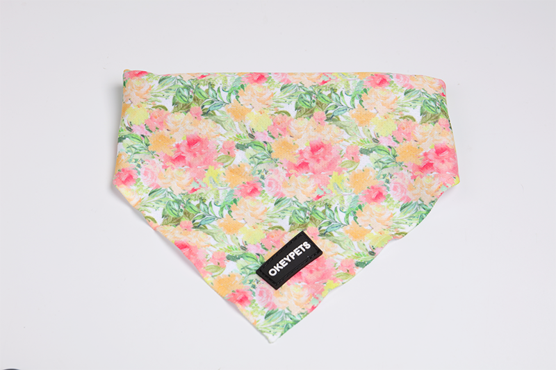 OKEYPETS Harnais pour chien en néoprène sur mesure, ensemble de luxe pour chiot avec accessoires mignons 12