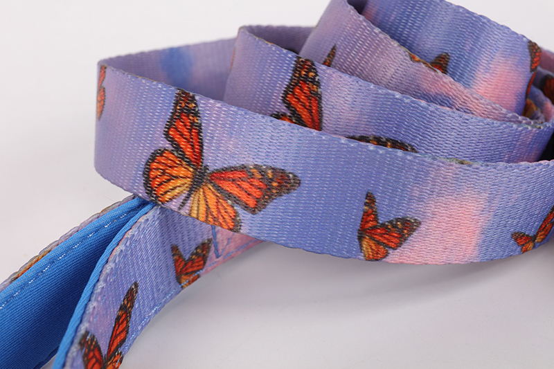 OKEYPETS Collier et laisse pour chien en néoprène sublimé avec quincaillerie de qualité supérieure et boucle de sécurité 13