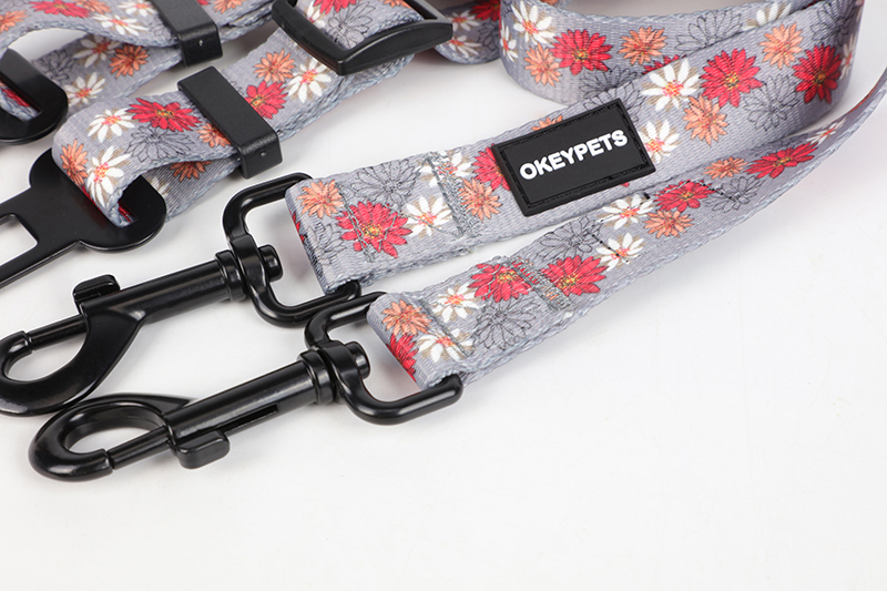 OKEYPETS - OKEYPETS Ceinture de sécurité auto pour chien Design tendance Taille standard Laisse robuste en sangle pour chien Tous les produits 14