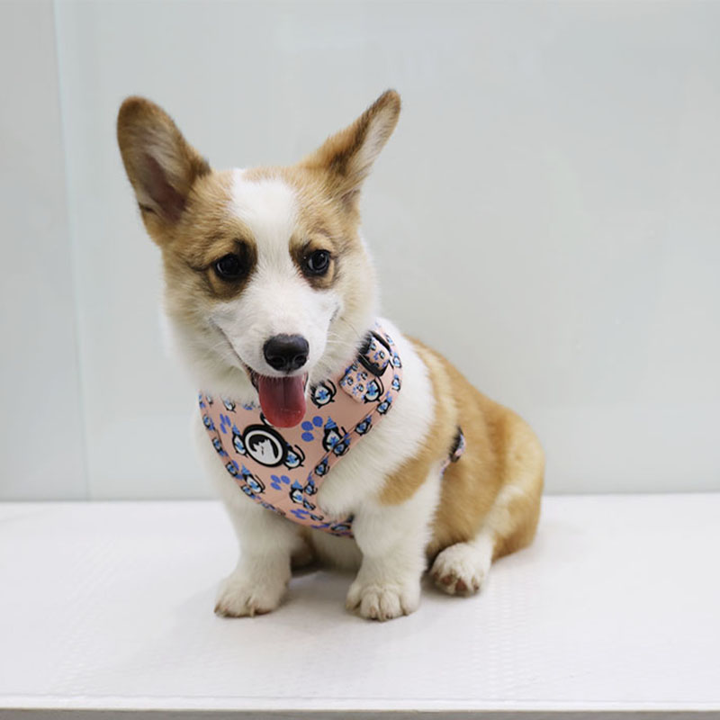 OKEYPETS - OKEYPETS Set Abah-Abah Haiwan Peliharaan Fesyen Mewah Dada Neoprena Bernafas Boleh Laras Pereka Logo untuk Abah-Abah Anjing Abah-Abah Anjing Neoprena 9