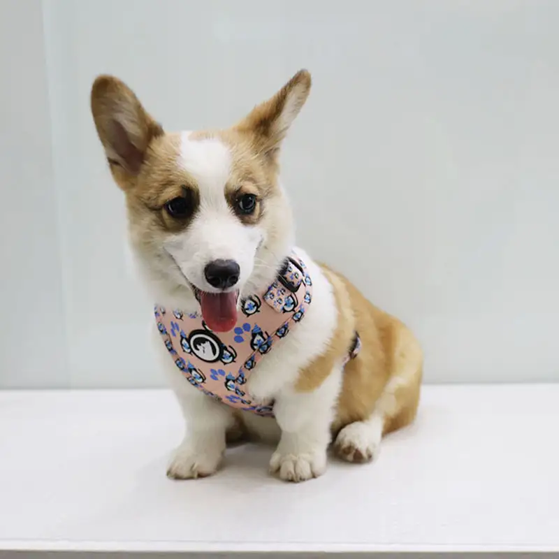 OKEYPETS - OKEYPETS Set Abah-Abah Haiwan Peliharaan Fesyen Mewah Dada Neoprena Bernafas Boleh Laras Pereka Logo untuk Abah-Abah Anjing Abah-Abah Anjing Neoprena 1