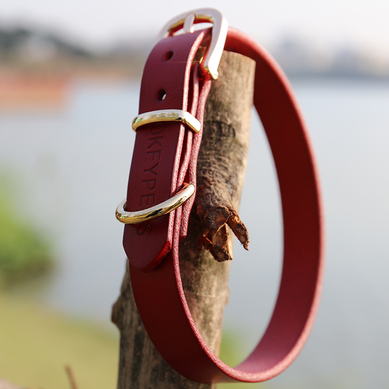 OKEYPETS - Collier pour chien OKEYPETS personnalisé avec logo en relief, réglable, en cuir véritable épais rouge 9