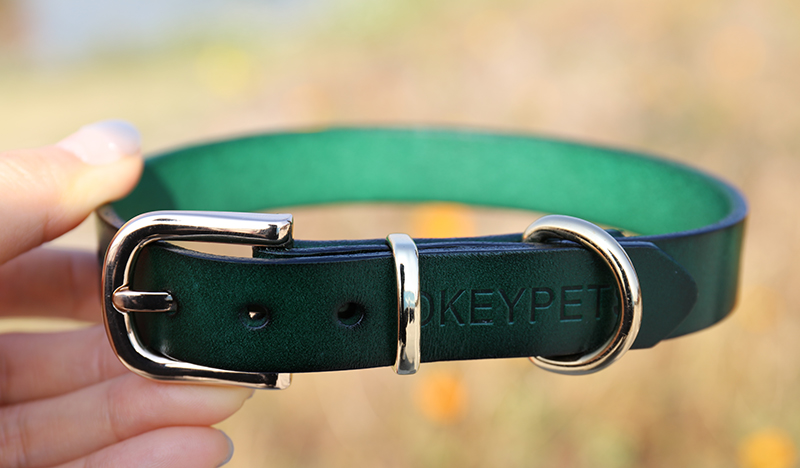 OKEYPETS - OKEYPETS Reka Bentuk Berwarna-warni Kolar Anjing Haiwan Peliharaan Kulit Asli Semula Jadi Tahan Lama Kolar Anjing Kulit Mexico 9