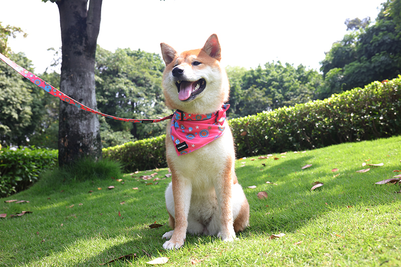 OKEYPETS Niestandardowa, wygodna chusta trójkątna z nadrukiem dla zwierząt domowych, szalik dla psa, chusta dla zwierząt domowych 8