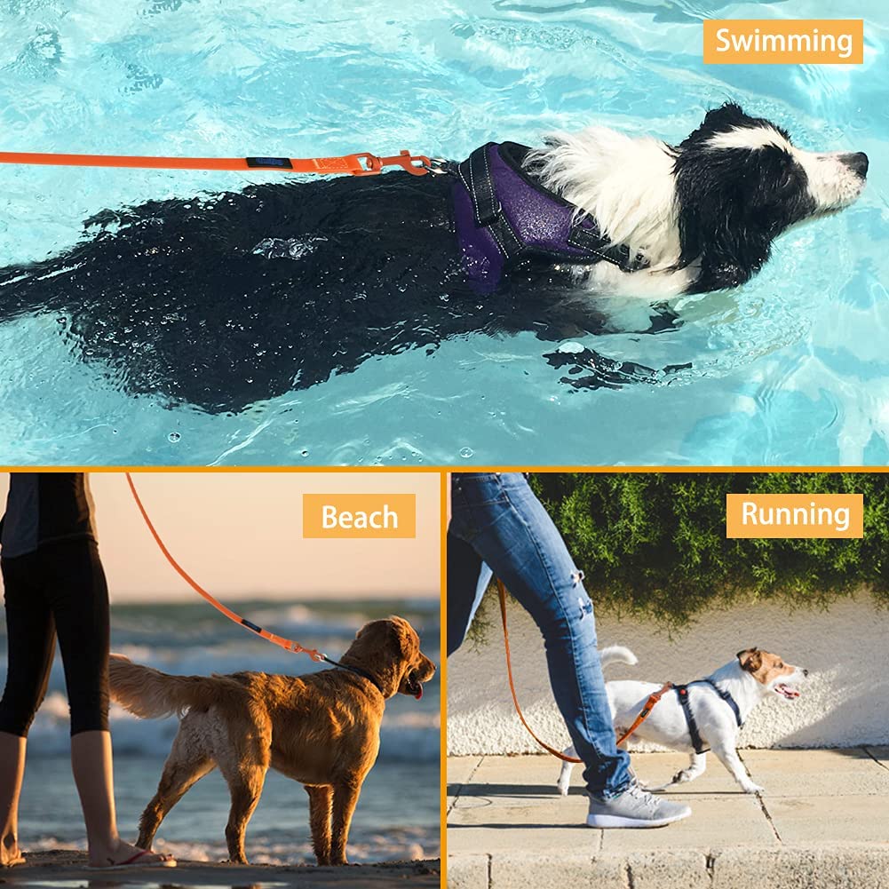 OKEYPETS - OKEYPETS Nouvelle laisse pour animaux de compagnie en sangle TPU souple réfléchissante avec revêtement en caoutchouc - Collier et laisse pour chien - Ensemble collier/harnais pour chien 14