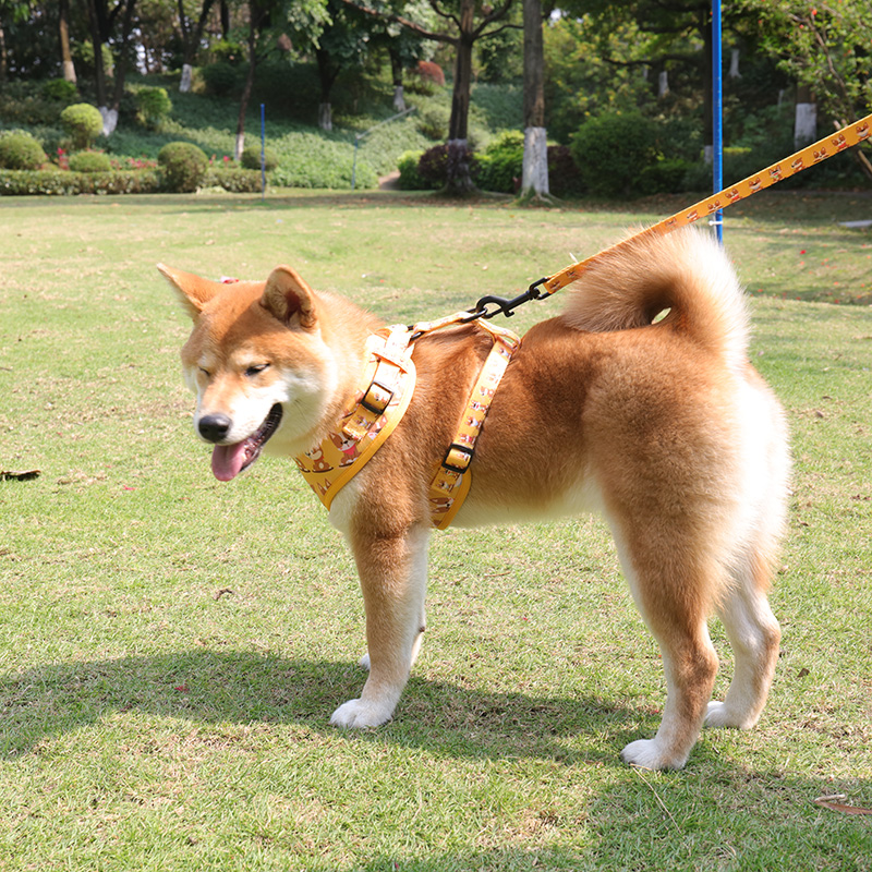 Harnais pour chien OKEYPETS en maille douce avec de jolis motifs de chiots de dessin animé jaune vif et laisse assortie. 14