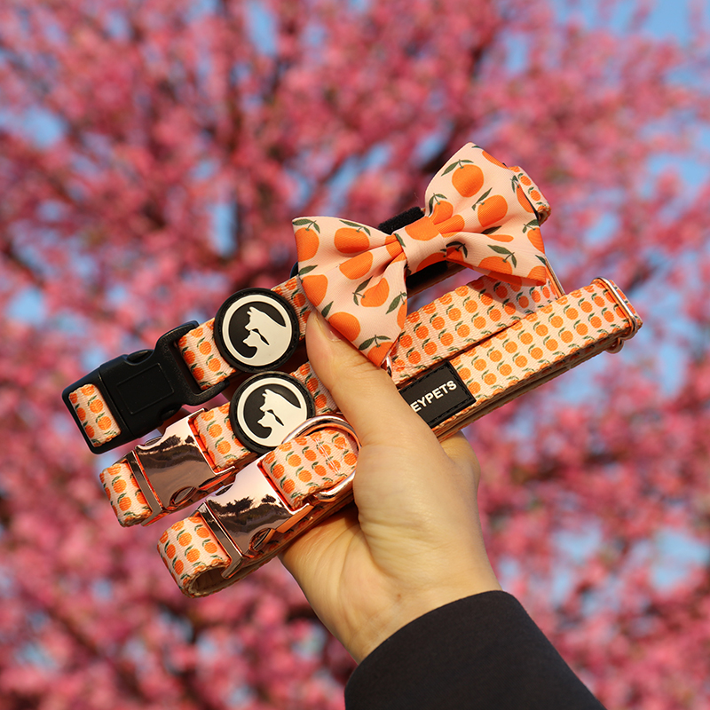 OKEYPETS – Wielokolorowa, spersonalizowana, luksusowa, wygodna, regulowana obroża dla psa z neoprenu z klamrą 10