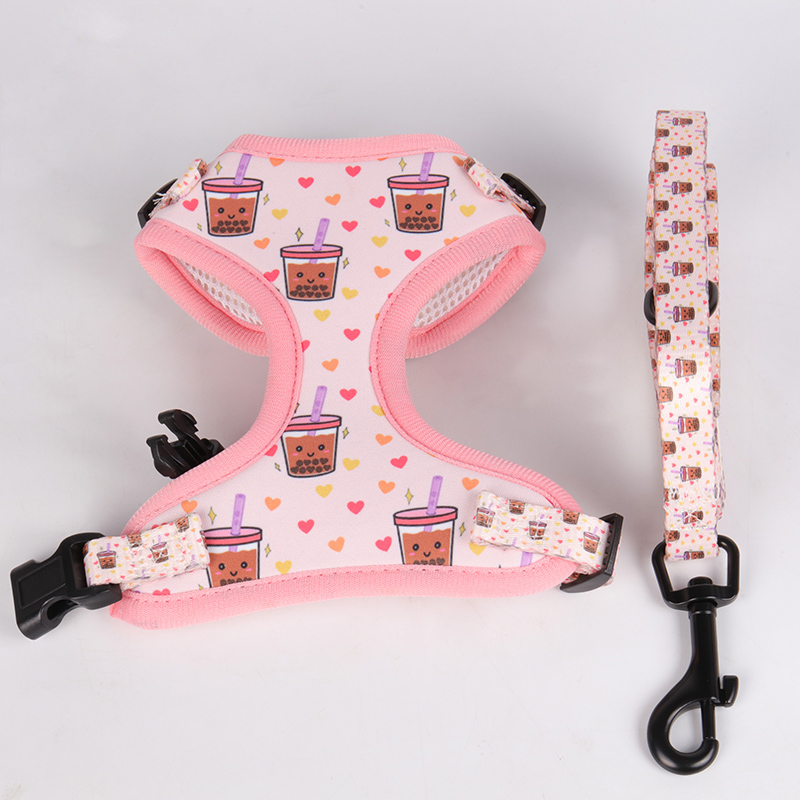 OKEYPETS - OKEYPETS Ensemble harnais et laisse de luxe réversible et ajustable avec motifs de sublimation élégants 10