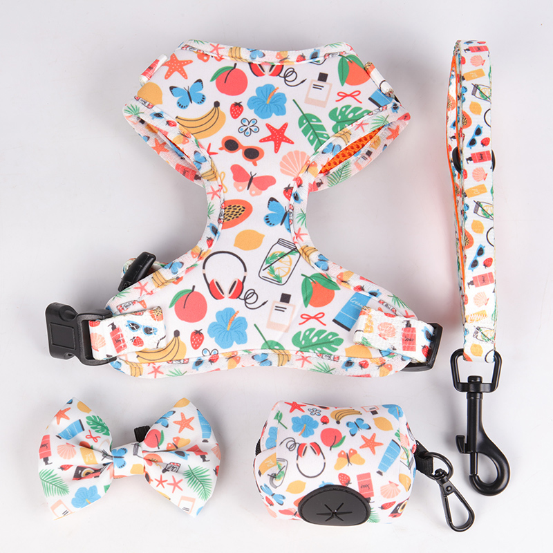 OKEYPETS パーソナライズデザイン 昇華ソフトメッシュベスト ペットハーネス 頑丈 高級 犬用首輪とリードセット 9