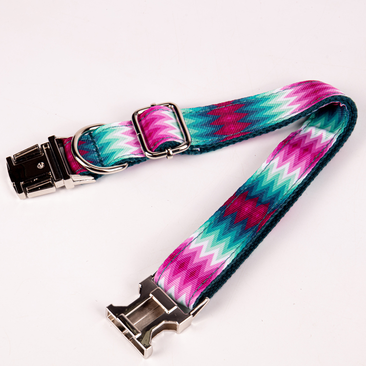 OKEYPETS - OKEYPETS Collare per animali domestici con catena a forma di dollaro, design unico e durevole, in materiale morbido e resistente, per cuccioli di cane1 11