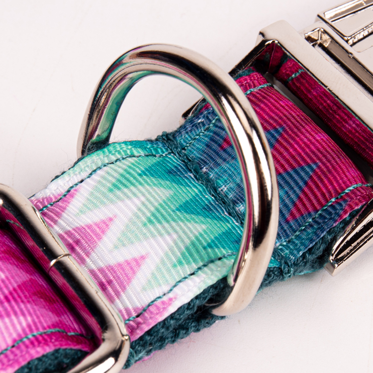 OKEYPETS - OKEYPETS Collare per animali domestici con catena a forma di dollaro, design unico e durevole, in materiale morbido e resistente, per cuccioli di cane1 13