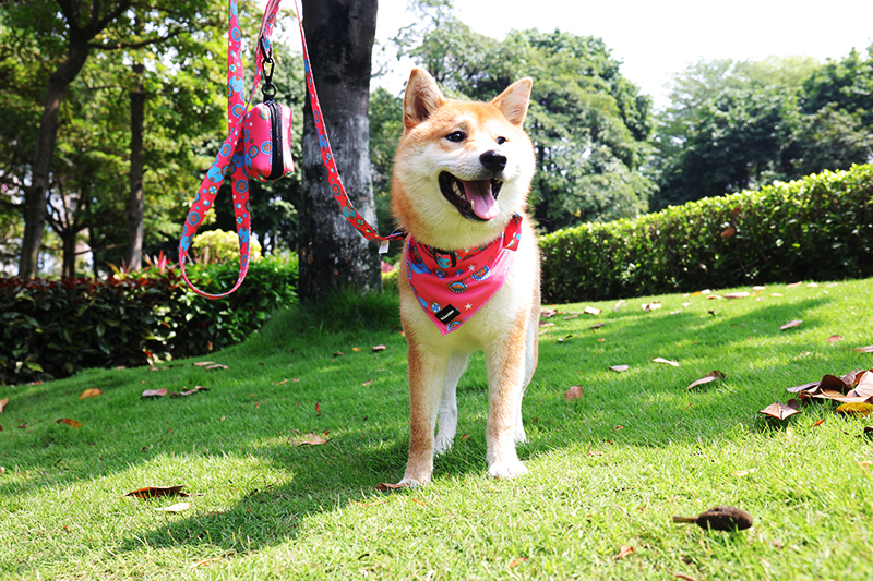 OKEYPETS - OKEYPETS Bandana/écharpe pour chien Père Noël multicolore, nouveau design respirant, en polyester et coton doux avec logo. Tous les produits 8