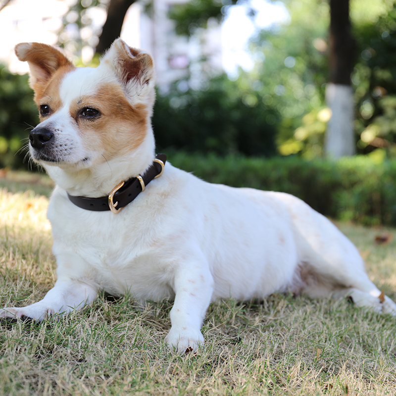 OKEYPETS - OKEYPETS Přizpůsobitelný designový obojek pro domácí mazlíčky s logem, nastavitelný, rychle personalizovaný, hnědý obojek pro psy z pravé kůže 8