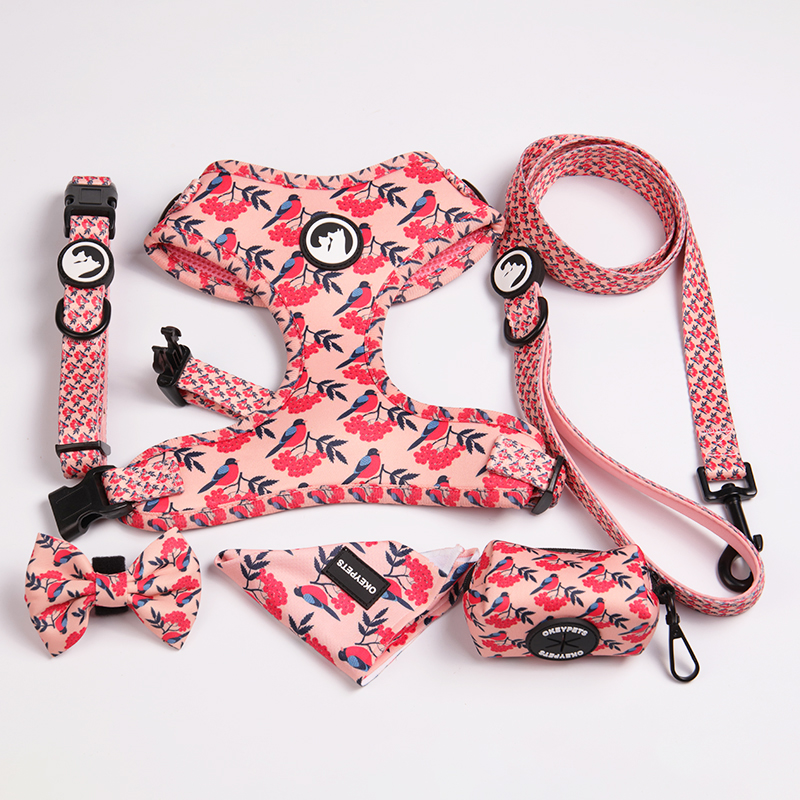 OKEYPETS - OKEYPETS Vente en gros de laisses pour chiens en néoprène rembourrées, confortables et résistantes, pour le sport et la course à pied. Motifs et impressions personnalisés. 22