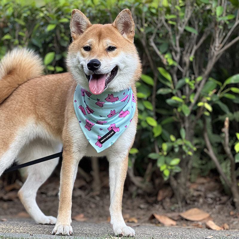 OKEYPETS 패션 멀티 컬러 강아지 반다나 강아지 스카프 반다나 맞춤 로고 7