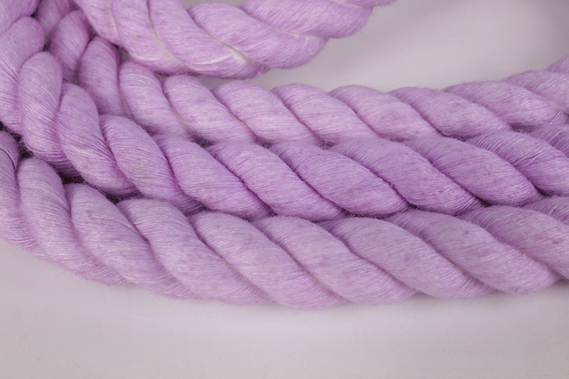 OKEYPETS Laisse pour animaux de compagnie tendance, légère, douce, confortable et résistante, en corde de coton pour chien. 9