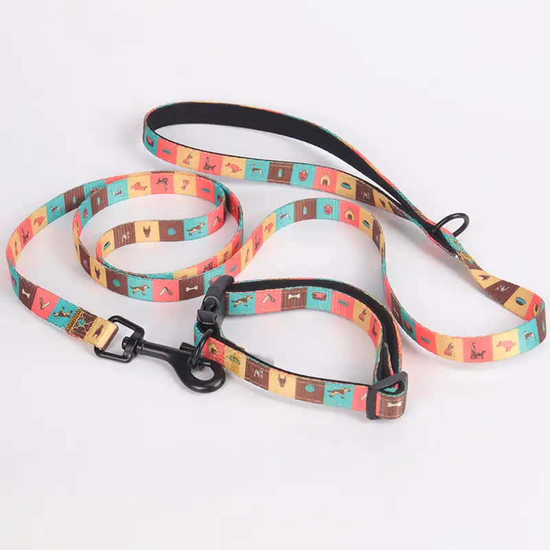 OKEYPETS - Lesă pentru câini OKEYPETS, moale, rezistentă, cu design profesional cu inel în D, perfectă pentru uz zilnic 1