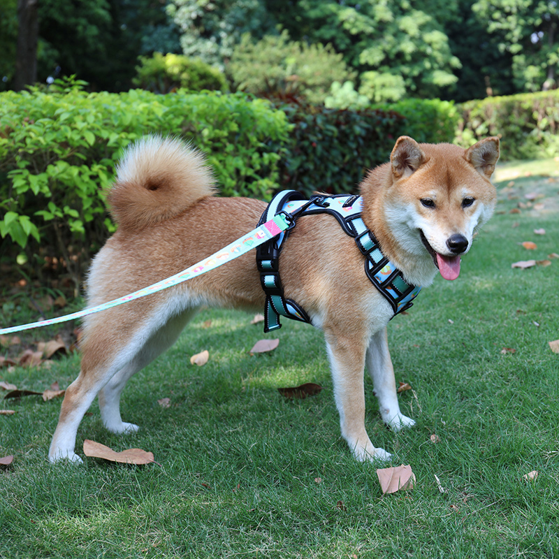 OKEYPETS - Accessoires pour chiens réfléchissants personnalisés OKEYPETS Gilet léger anti-traction de qualité supérieure Harnais réglable pour animaux de compagnie Harnais réfléchissant pour chien 8