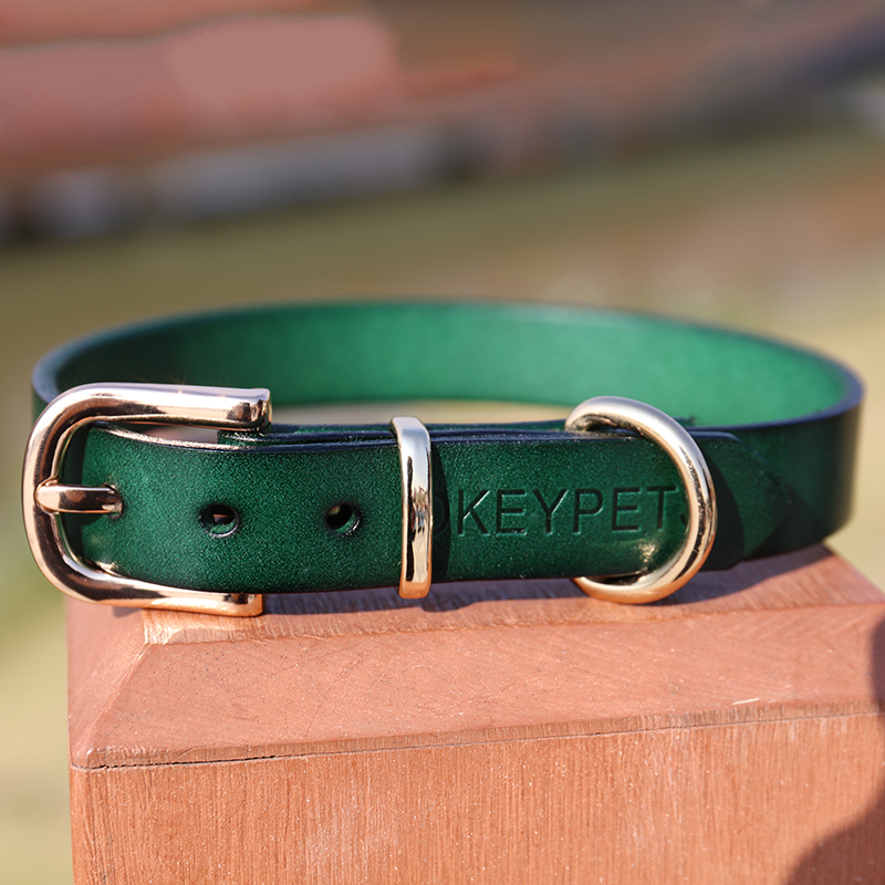 OKEYPETS - OKEYPETS Nyt design til hundehalsbånd Personligt præget logo Ægte tykt læder Grønt hundehalsbånd Læderhundehalsbånd 9