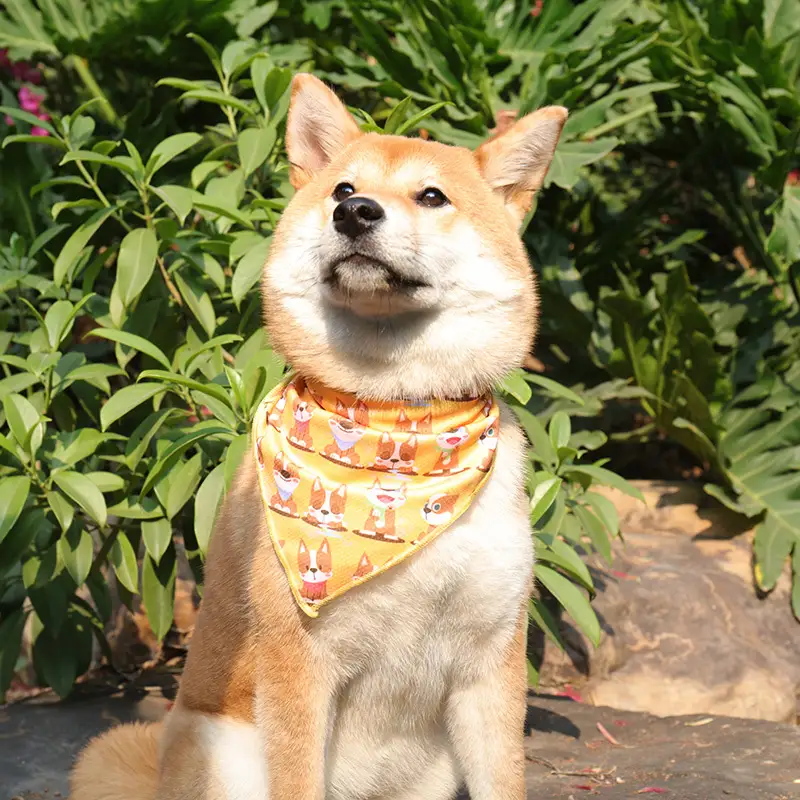 OKEYPETS - Écharpe personnalisée pour animaux de compagnie OKEYPETS, motif triangle, sublimation, bandana d'anniversaire pour chien. Tous les produits. 1