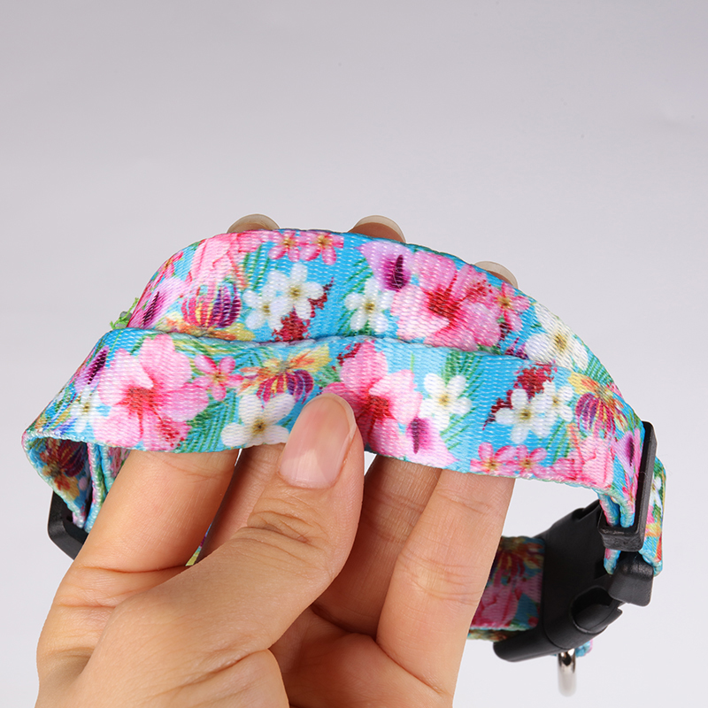 OKEYPETS - Laisse pour chien OKEYPETS en polyester durable, sûre et confortable, avec motif confortable et imprimé personnalisé. Laisse d'été pour chien en polyester. 10