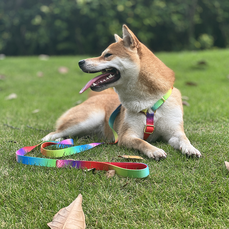 OKEYPETS - Centură de siguranță pentru câini OKEYPETS, chingă reglabilă din poliester, rezistentă, pentru mașini, lesă auto 8