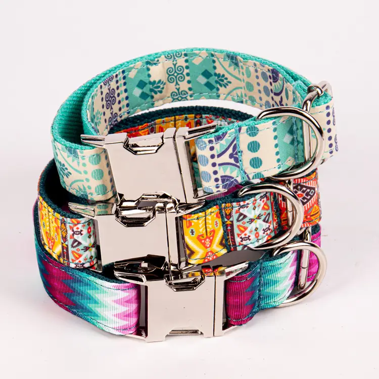 OKEYPETS - OKEYPETS Collare per animali domestici con catena a forma di dollaro, design unico e durevole, in materiale morbido e resistente, per cuccioli di cane1 1